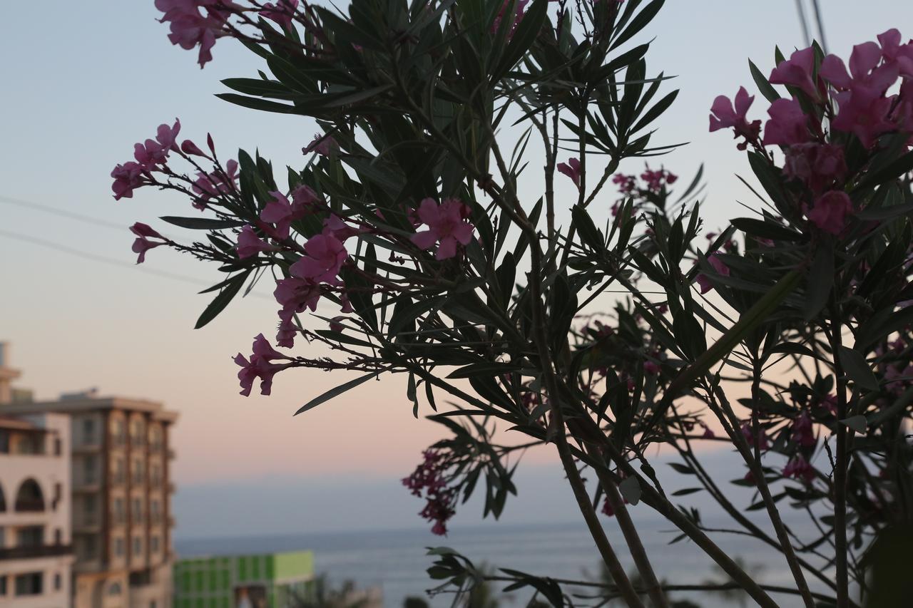 Kasgar Court Hotel Ayia Varvara Exteriör bild